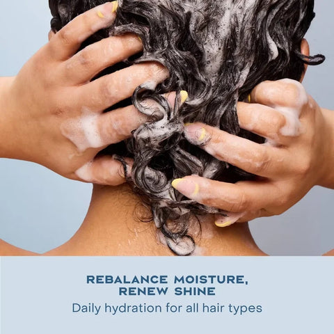 SheaMoisture Virgin Coconut Oil Shampoo Daily Hydration - 13 fl oz: Paraben-Free, Sulfate-Free, Liquid, All Hair Types