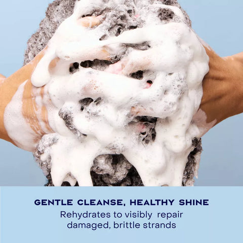 SheaMoisture Manuka Honey & Yogurt Hydrate & Repair Shampoo - 13 fl oz: For Curly, Dry Hair, Moisturizing, Paraben-Free, Sulfate-Free