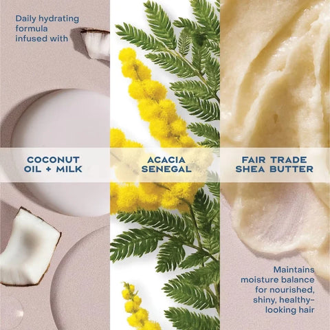 SheaMoisture Virgin Coconut Oil Shampoo Daily Hydration - 13 fl oz: Paraben-Free, Sulfate-Free, Liquid, All Hair Types
